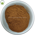 High quality ganoderma extract powder for Anti-Aging